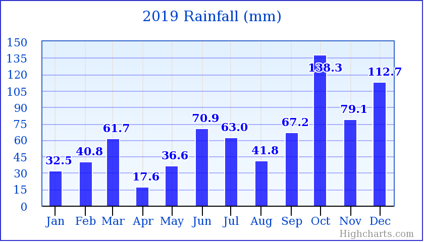 2019 Rainfall
